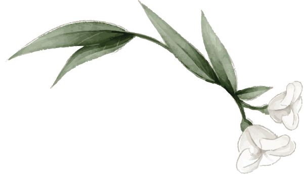 white flower.png